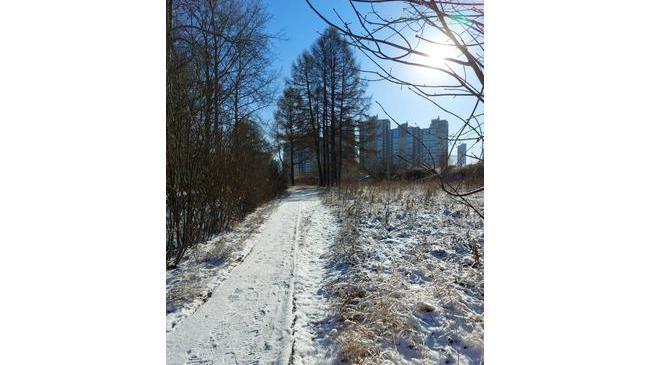 Доброе утро, Челябинск! Кто уже был на улице, как там с погодой? ☕☀