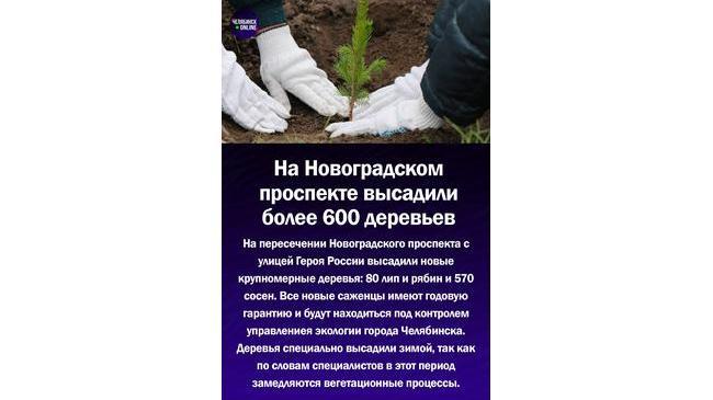🌲В Челябинске высадили более 600 деревьев