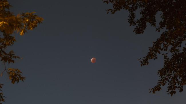 Фото "кровавого" лунного затмения из соцсетей