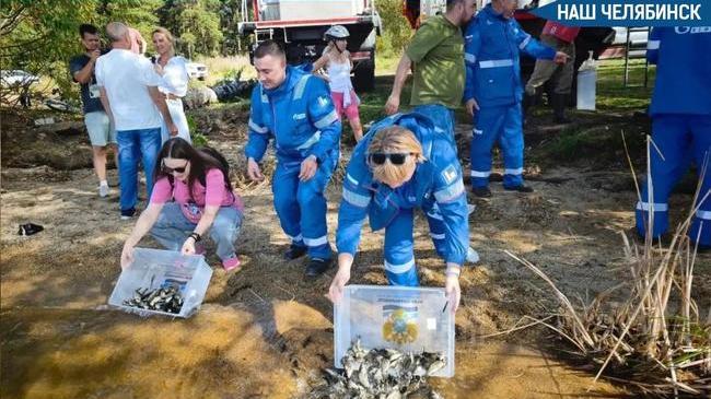 🐟 В Шершневское водохранилище выпустили более 11 тысяч мальков сазана