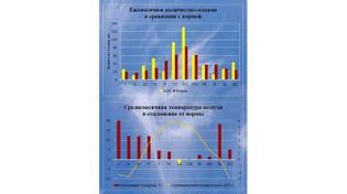 🌡️ 2025 год стал самым теплым в Челябинске за историю метеонаблюдений