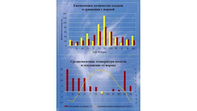 🌡️ 2025 год стал самым теплым в Челябинске за историю метеонаблюдений