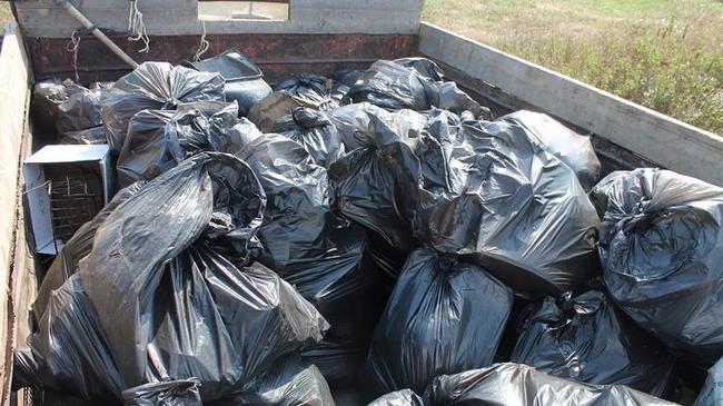 Челябинской области с нового года угрожает мусорный коллапс. Вывозить ТБО будет некому