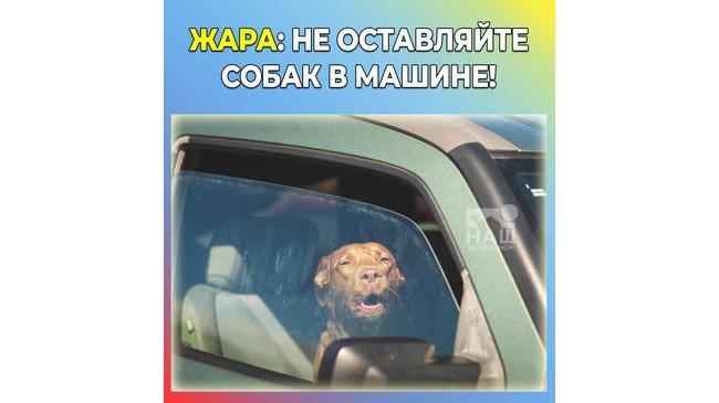 ❗Друзья! 