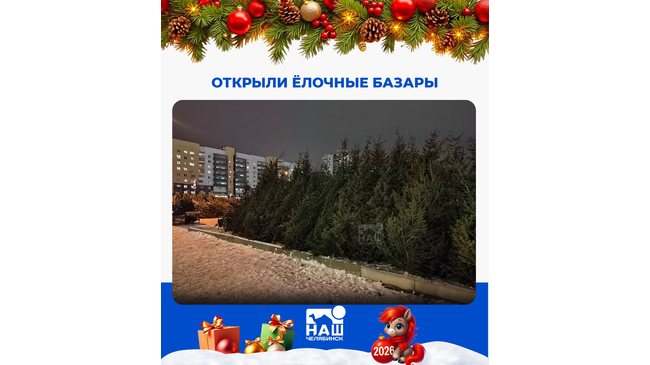 🎄 В Челябинске открылись елочные базары
