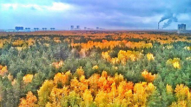 Осенний Челябинск - великолепен!