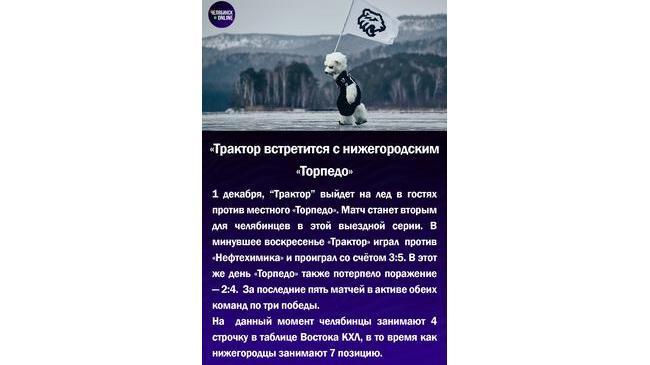 🏒 "Трактор" встретится с нижегородским "Торпедо"