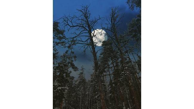 Завораживающая луна 😍🌛 Как считаете?