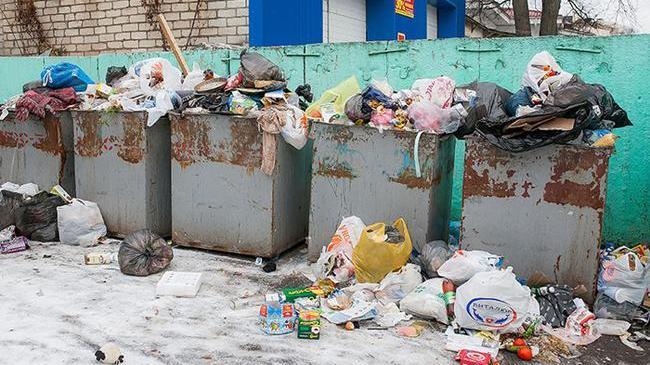 МУП «Горэкоцентр» оштрафовали за невывоз мусора