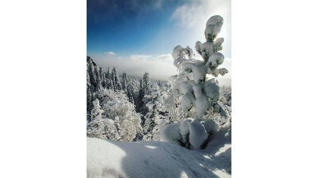 Зимняя сказка на Таганае 😍❄