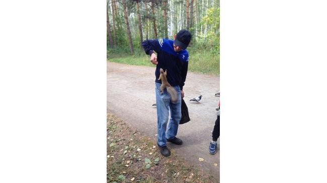 Какие в Челябинске белки - очень дружелюбные и игривые! 😀 А как у вас проходят выходные?