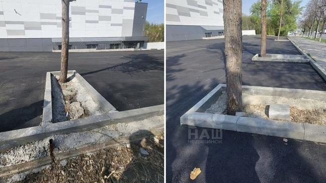 🌳 На Комсомольском проспекте рабочие закатали деревья в бетон