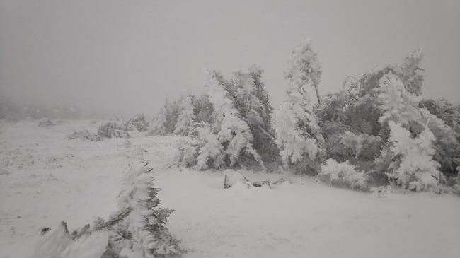 ❄ Зима приближается. На трассе М-5 в Челябинской области выпал снег