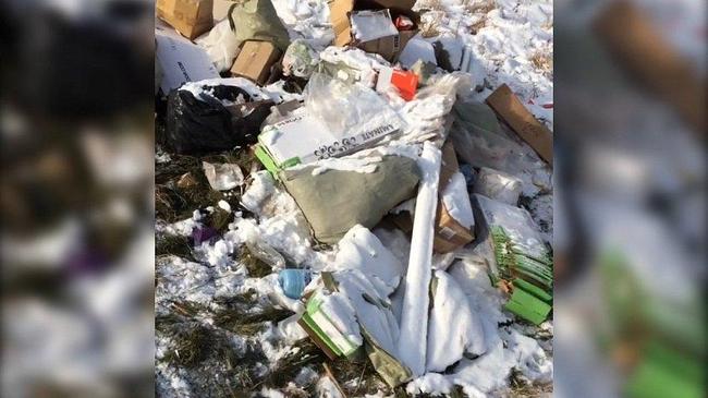 В Челябинске отказались вывозить строительный мусор вместе с елочными погостами 