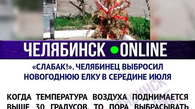 «Это Челябинск, детка!». Пожелтевшую елку челябинцы обнаружили 13 июля 🎄