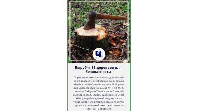 🌳🪓 В Челябинске вырубят 38 деревьев для безопасности жителей