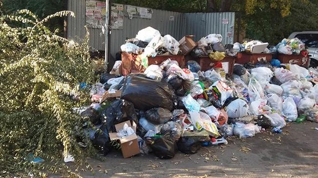 На борьбу с мусором в Челябинске выделили еще 88 миллионов рублей