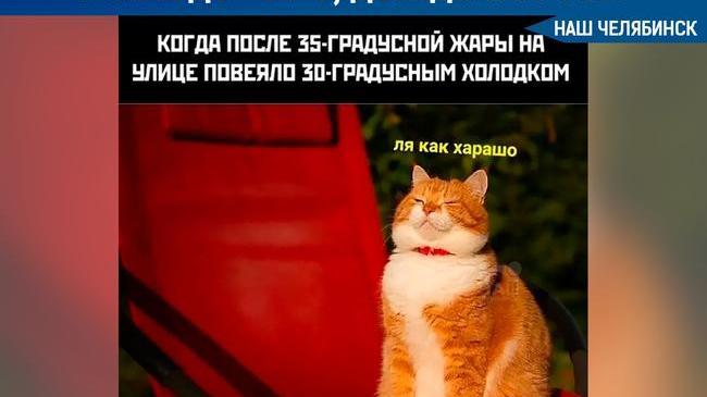 ☀🌂 Эти выходные в Челябинской области будут дождливыми и жаркими - в регион пришел грозовой фронт.