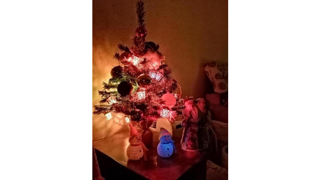 Так хочется праздника, решила елку нарядить! А когда вы начинаете наряжать елку?