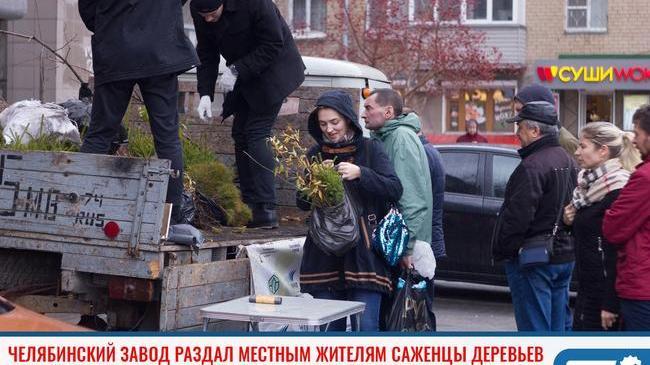 ⚡Челябинский завод раздал местным жителям саженцы деревьев 🌳