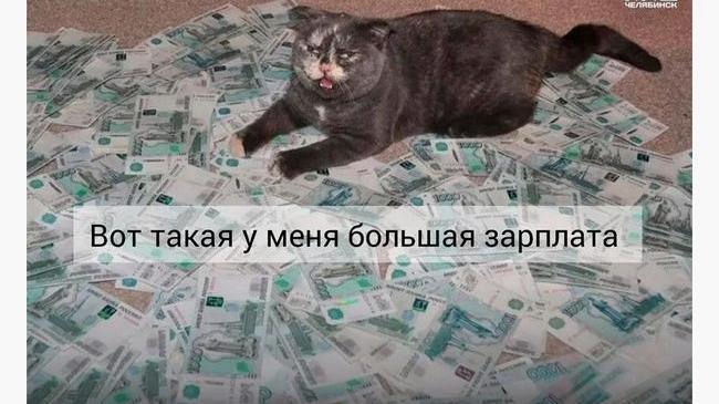 💰 Южноуральцы стали больше зарабатывать. Только вот много ли это?