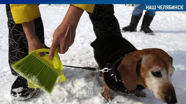 ⚡ Жители Чурилово предложили ввести налог для владельцев собак 🐕. 