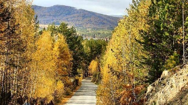 Тургояк заиграл золотыми красками🍁