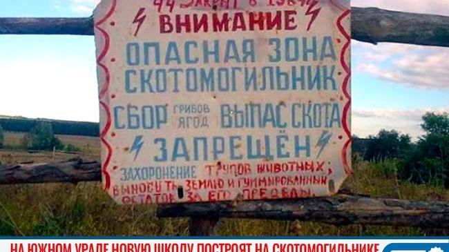 😱 В Челябинской области новую школу решили построить на месте скотомогильника 
