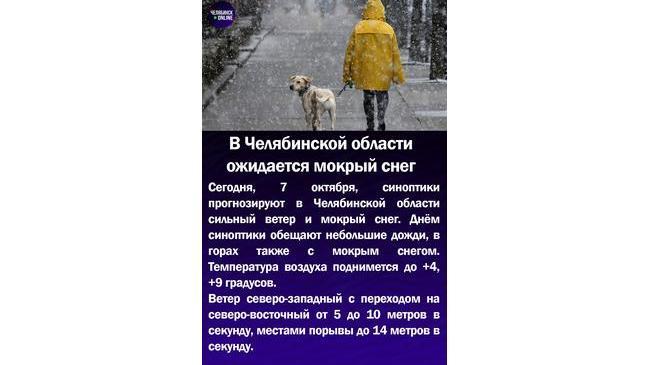 ❄В Челябинской области ожидается мокрый снег