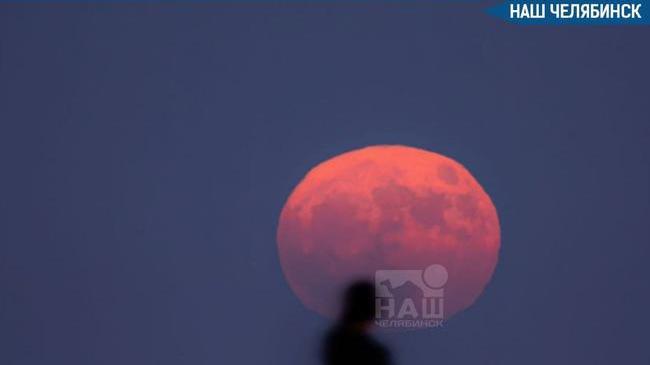🌕 Южноуральцы увидят «Клубничную Луну»