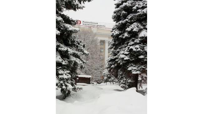 ❄🌨 В Челябинскую область придут метели и сильный ветер🌪