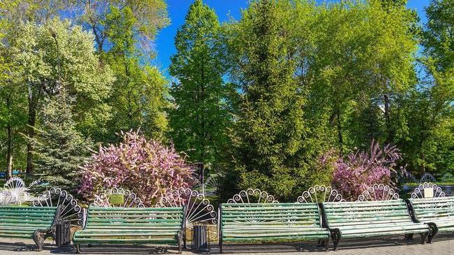 С добрым утром, друзья! ☕ Рассказывайте, кто уже был на улице - как там?