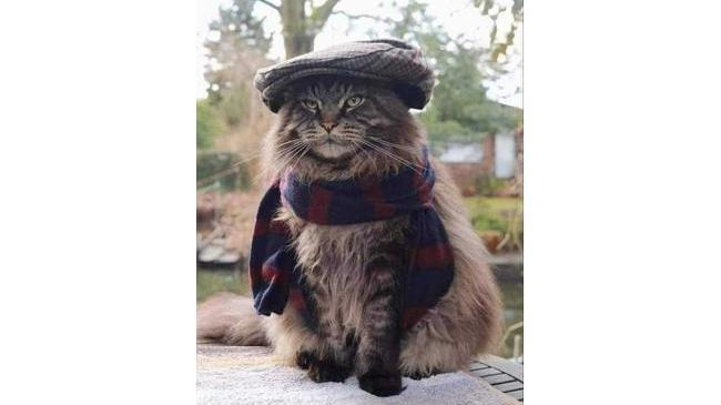 Чувство стиля: к осени готов!