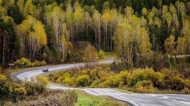 А дорога серой лентой вьется🍂🍁