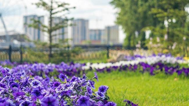 Многие считают Челябинск унылым и серым.. Но, посмотрите сколько вокруг ярких красок и цветов! 😉