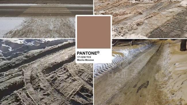 🟫 Pantone назвал главный цвет следующего года — Mocha Mousse