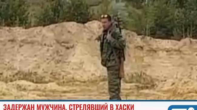 ❗В Челябинске задержан мужчина, который застрелил чужую собаку из-за того, что она играла с убитой уткой на прогулке. 