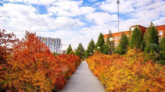 Золотая осень в Челябинске 🍂❤