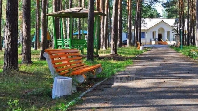 🌲 В Каштакском бору зоны выделят зоны для капстроительства