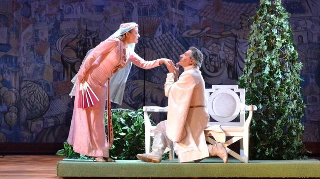 МУЗЫКАЛЬНЫЙ СПЕКТАКЛЬ / КОМЕДИЯ "ХАНУМА" 