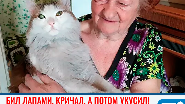 🐾 В Челябинске кот спас хозяйку во время пожара! 👍