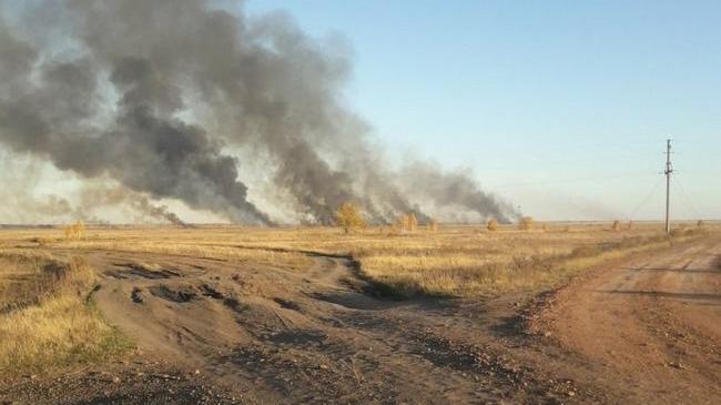 👨‍🔬 Экологи объяснили, откуда в Челябинск принесло едкий дым и гарь