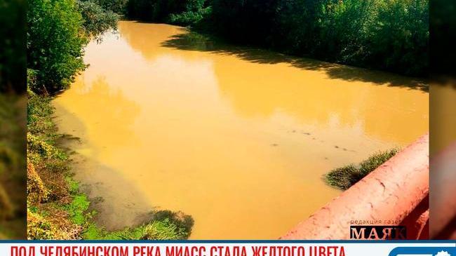 😨 В Челябинской области река Миасс окрасилась в цвет глины 