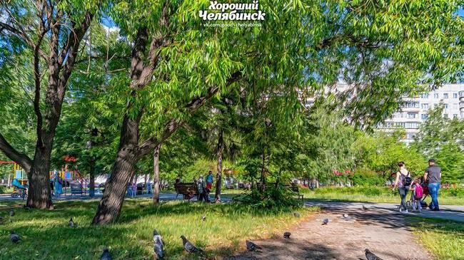 С добрым утром, челябинцы! ☕ Кто уже был на улице рассказывайте - как там? 😎