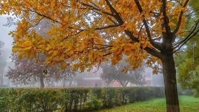 С добрым утром, Челябинск! 😎 Всех с началом новой недели! 😉 