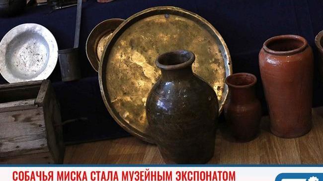 ❗ Псы на Урале ели из посуды 1904 года 😁 Оказалось, что посуда – не просто семейная реликвия, но и имеет историческую ценность!