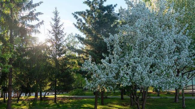 С добрым утром, друзья! ☕ Рассказывайте, кто уже был на улице - как там?