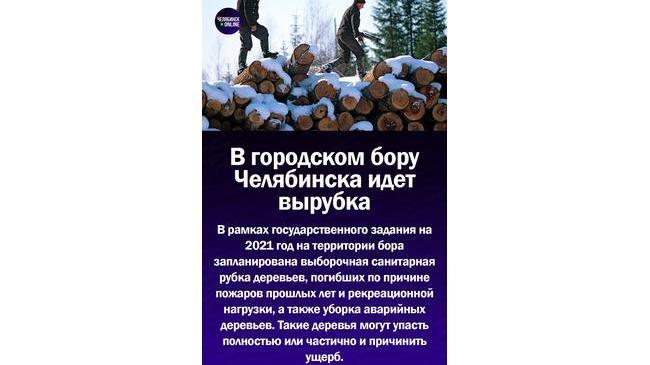 ⚡В Челябинске началась вырубка деревьев