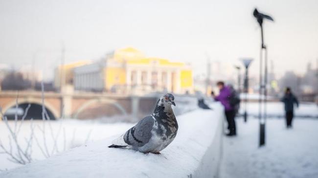 Морозы до минус 23 градусов прогнозируют синоптики в конце рабочей недели на Южном Урале  