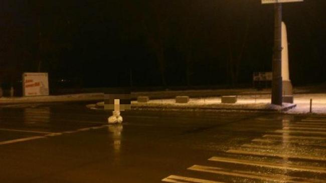 Жителей Ленинского района удивил необычный «снеговик» на дороге
